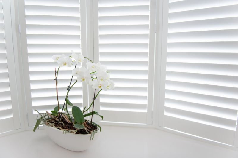 Exterior Shutters Installation in Olathe, KS